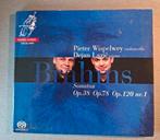 TRISTE. Brahms. Sonates. (Canal, Wispelwey, Hybrid),, Enlèvement ou Envoi