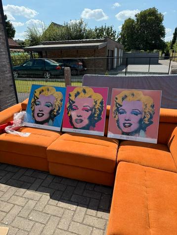 Kaders “andy warhol” beschikbaar voor biedingen
