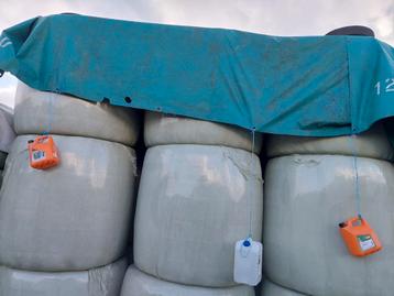 Ronde balen hooi geschikt voor paarden droog hooi beschikbaar voor biedingen