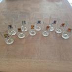 10 verres Pastis  Duval villes du sud de la France, Ophalen of Verzenden, Gebruikt, Overige typen