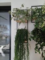 Shelfmate wandplanken in natuurkleurige eik 25 x 25 cm, Huis en Inrichting, Woonaccessoires | Wandplanken en Boekenplanken, Ophalen of Verzenden