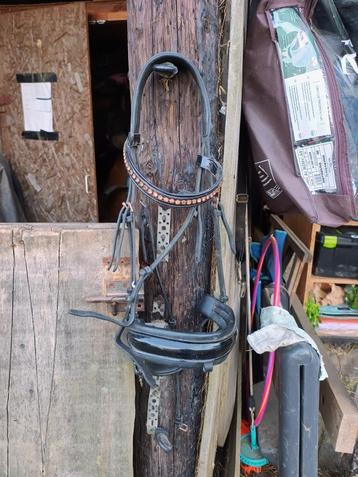 Hoofdstel beschikbaar voor biedingen