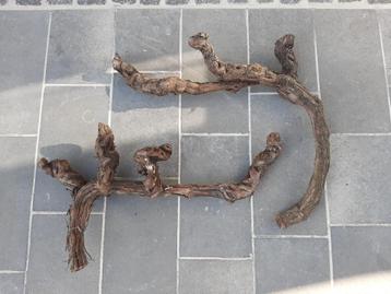 Oude Bourgondische wijnstokken beschikbaar voor biedingen
