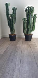 Cactus artificieel/kunst, Ophalen of Verzenden, Cactus