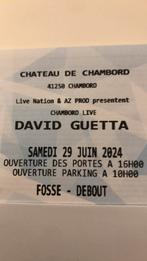 1 place concert guetta chambord 29 juin 2024, Tickets & Billets, Concerts | Dance, Une personne, Juin