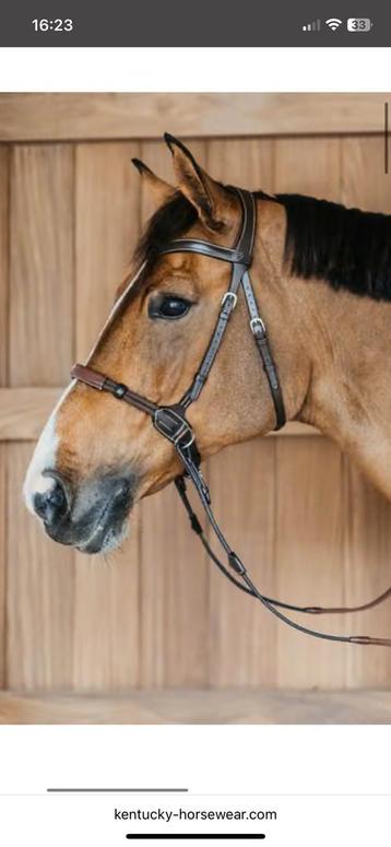 Sidepull bitloos dyon full beschikbaar voor biedingen