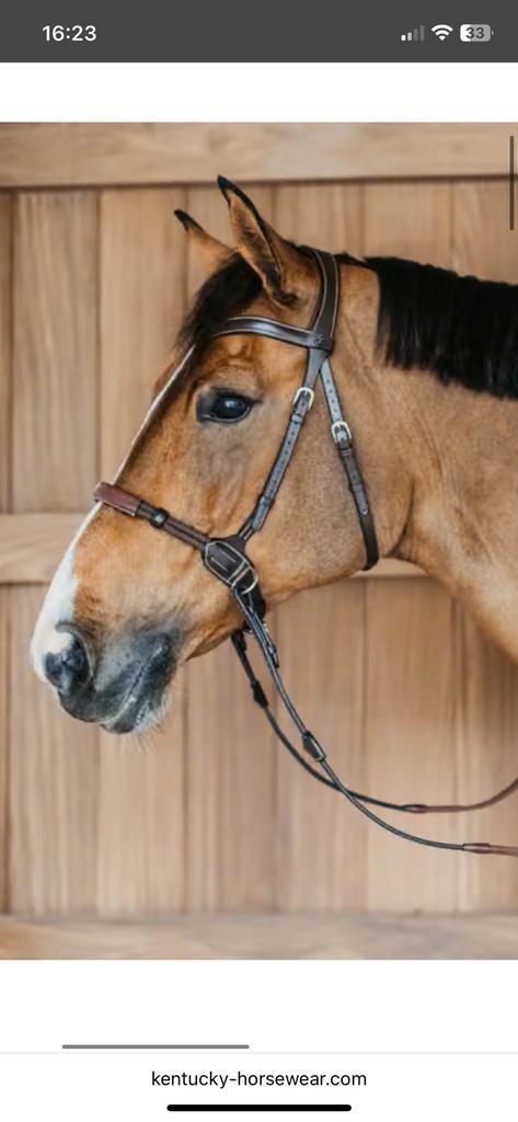 Sidepull bitloos dyon full, Dieren en Toebehoren, Paarden en Pony's | Hoofdstellen en Tuigage, Zo goed als nieuw, Ophalen of Verzenden