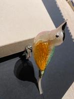 Ajeko vogels, Ophalen of Verzenden