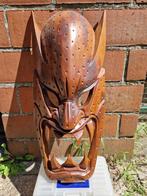 Houten masker groot, Antiek en Kunst, Kunst | Beelden en Houtsnijwerken, Ophalen