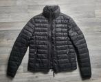 JASJE SUPERDRY, Kleding | Dames, Ophalen, Nieuw