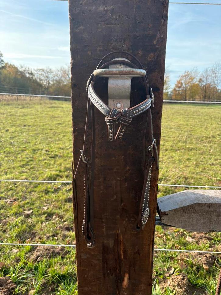 Kopstukje, Dieren en Toebehoren, Paarden en Pony's | Hoofdstellen en Tuigage, Zo goed als nieuw, Western, Ophalen