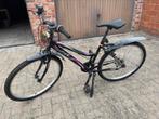 Mountainbike dames Urban’Life, Ophalen, Gebruikt, Overige merken
