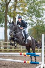 10-jarige allround merrie, Dieren en Toebehoren, Paarden, Merrie, Minder dan 160 cm, Ontwormd, 7 tot 10 jaar