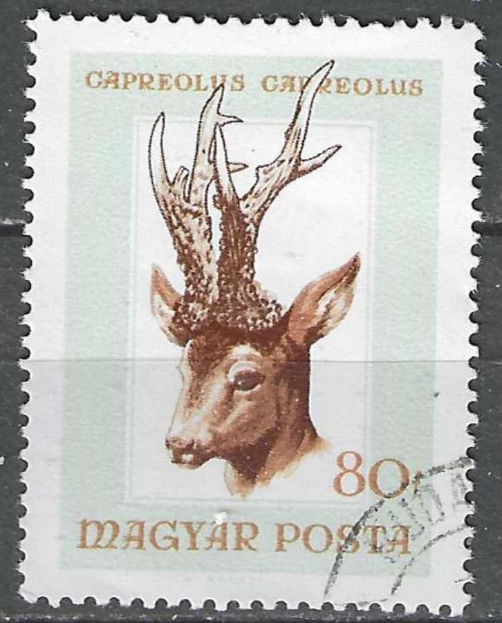 Hongarije 1966 - Yvert 1846 - Jachttrofeeen (ST), Postzegels en Munten, Postzegels | Europa | Hongarije, Verzenden