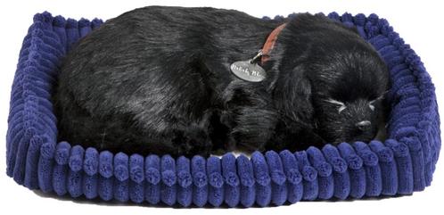 Labrador pup zwart Perfect Petzzz, Kinderen en Baby's, Speelgoed | Knuffels en Pluche, Nieuw, Hond, Ophalen of Verzenden