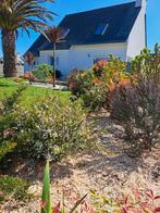 Huis in Bretagne, Mer Plage Plage Jardin Landéda Gr34, Bretagne, Rolstoelvriendelijk, Overige, Eigenaar