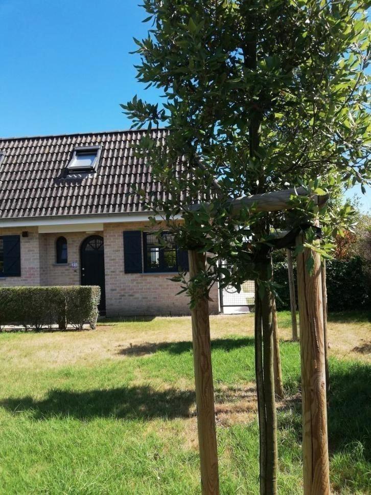 Vakantiewoning Oostduinkerke vrij per week Kerstvakantie, Immo, Op zoek naar een huis