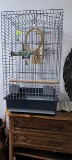 Kooi, Dieren en Toebehoren, Vogels | Parkieten en Papegaaien