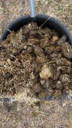 Gratis paardenmest, Ophalen, Mest