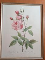 Vintage kader, Antiek en Kunst, Ophalen of Verzenden