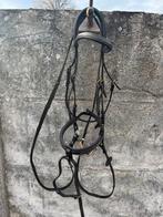 Bruin Hoofdstel + borstriem (paard & full), Animaux & Accessoires, Chevaux & Poneys | Brides & Harnachement, Enlèvement, Comme neuf