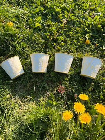 Bloempotjes geel met bloemen beschikbaar voor biedingen