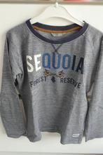 T-shirt lange mouw grijs Sequoia JBC (K245), Kinderen en Baby's, Kinderkleding | Maat 134, Jongen of Meisje, JBC, Ophalen of Verzenden