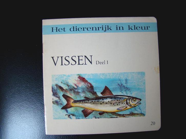 VISSEN deel 1  #20 Het dierenrijk in kleur, Livres, Animaux & Animaux domestiques, Poissons, Enlèvement