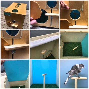 vogel-fotobox  beschikbaar voor biedingen