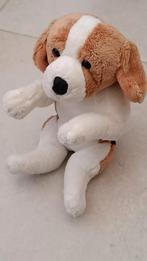 Knuffel hond, Ophalen of Verzenden, Hond