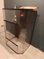 Terrarium, Dieren en Toebehoren, Ophalen