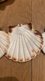 Vispannetje Sint Jacobsschelpen, Ophalen of Verzenden