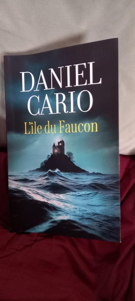 L'île du faucon, Boeken, Romans, Nieuw, Ophalen of Verzenden