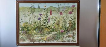 botanische schilderingen, reproductie aquarellen