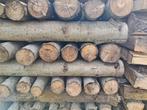 Bois de chauffage - peuplier, Tuin en Terras, Brandhout, 3 tot 6 m³, Ophalen, Overige houtsoorten, Blokken