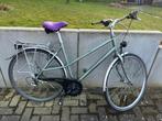 damesfiets, Fietsen en Brommers, Ophalen, Gebruikt, Versnellingen, Giant