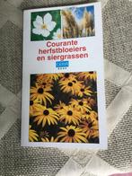 Courante herfstbloeiers en siergrassen, Tuin en Terras, Planten | Tuinplanten, Ophalen of Verzenden, Herfst, Siergrassen