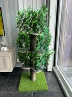 Kattenboom met verwisselbare bladeren, Ophalen, Nieuw, Krabpaal