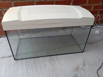 Aquarium  beschikbaar voor biedingen