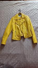 Jasjes en bodywarmer, Ophalen, Gedragen, Maat 38/40 (M), Jasje