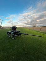 Marathonkoets te koop, Gebruikt, Marathonwagen, Paard of Pony