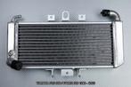 Radiateur AVDB YAMAHA FZS 600 / FAZER 600 1998 - 2003, Enlèvement ou Envoi, Neuf