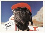 HOND   5, Verzamelen, Postkaarten | Dieren, Gelopen, Verzenden, 1980 tot heden, Hond of Kat