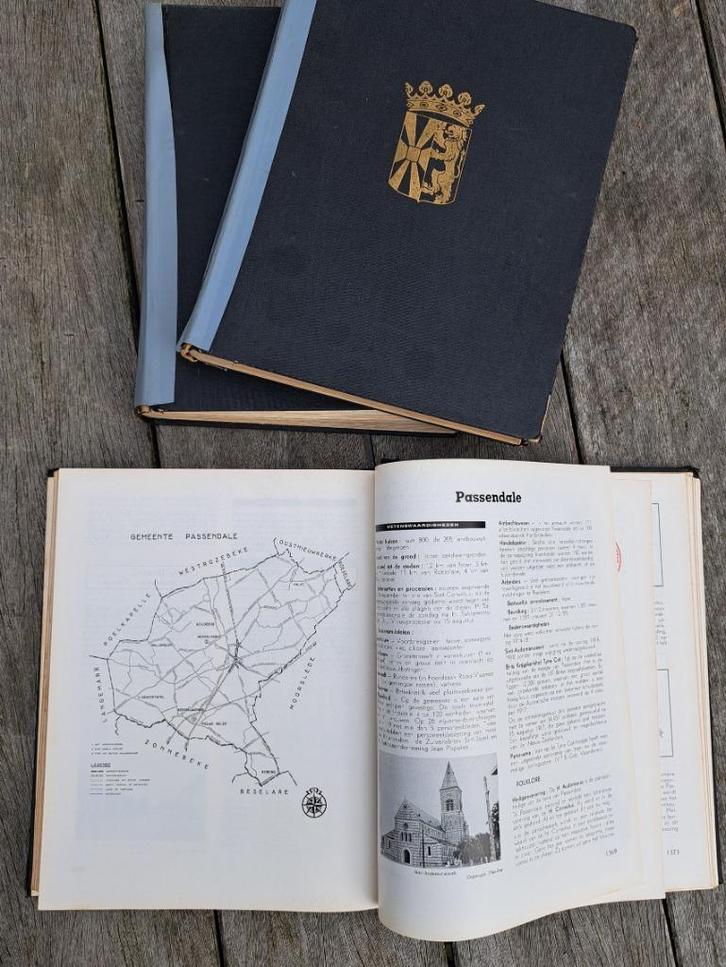 Dit is West-Vlaanderen naslagwerk gemeenten 1960, Boeken, Geschiedenis | Stad en Regio, Gelezen, 20e eeuw of later, Ophalen of Verzenden