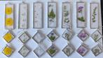 TIFFANY ketting oorhangerset met gedroogde bloemen, Verzenden, Nieuw, Zilver, Bloem of Plant