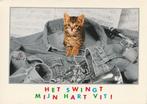 KAT    10, Verzamelen, Postkaarten | Dieren, Verzenden, Ongelopen, Hond of Kat