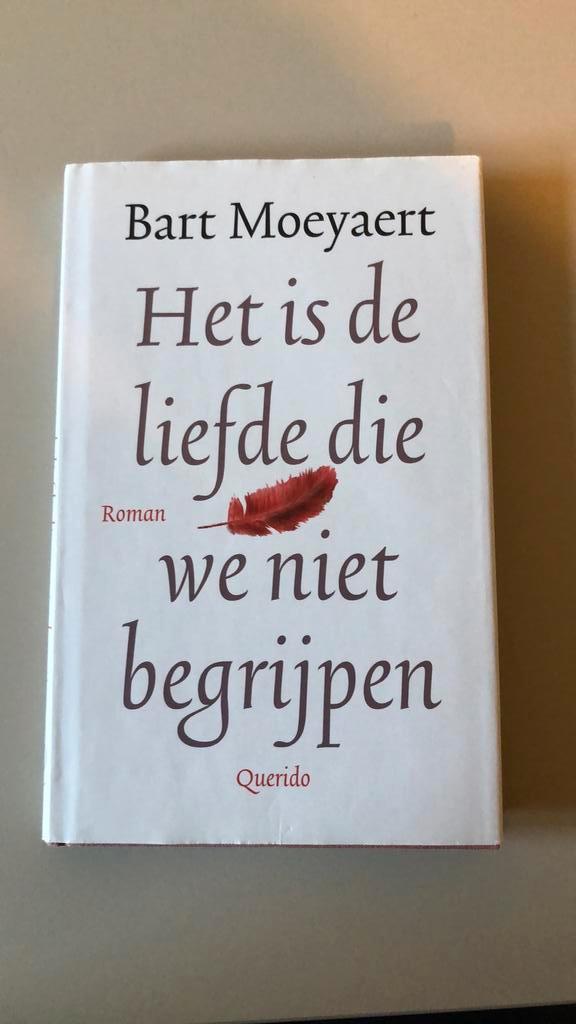 Bart Moeyaert - Het is de liefde die we niet begrijpen, Livres, Littérature, Enlèvement ou Envoi