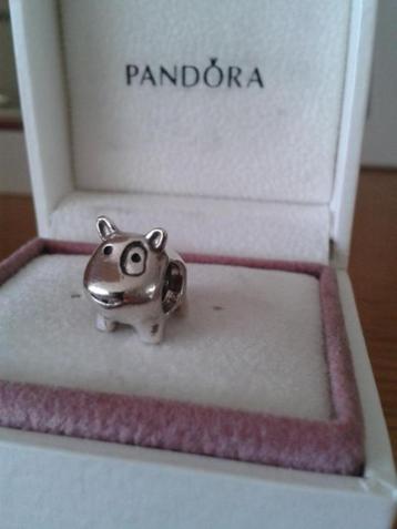 Pandora bedel hondje beschikbaar voor biedingen
