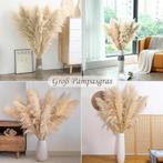 10 bouquets d'herbe de pampa séchée | Nouveau, Maison & Meubles, Accessoires pour la Maison | Fleurs séchées, Neuf, -, -, Shokan