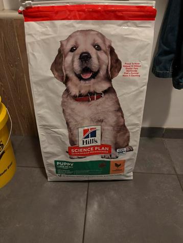 Hills Puppy grote rassen beschikbaar voor biedingen